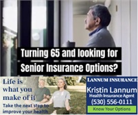 Lannum Insurance Services